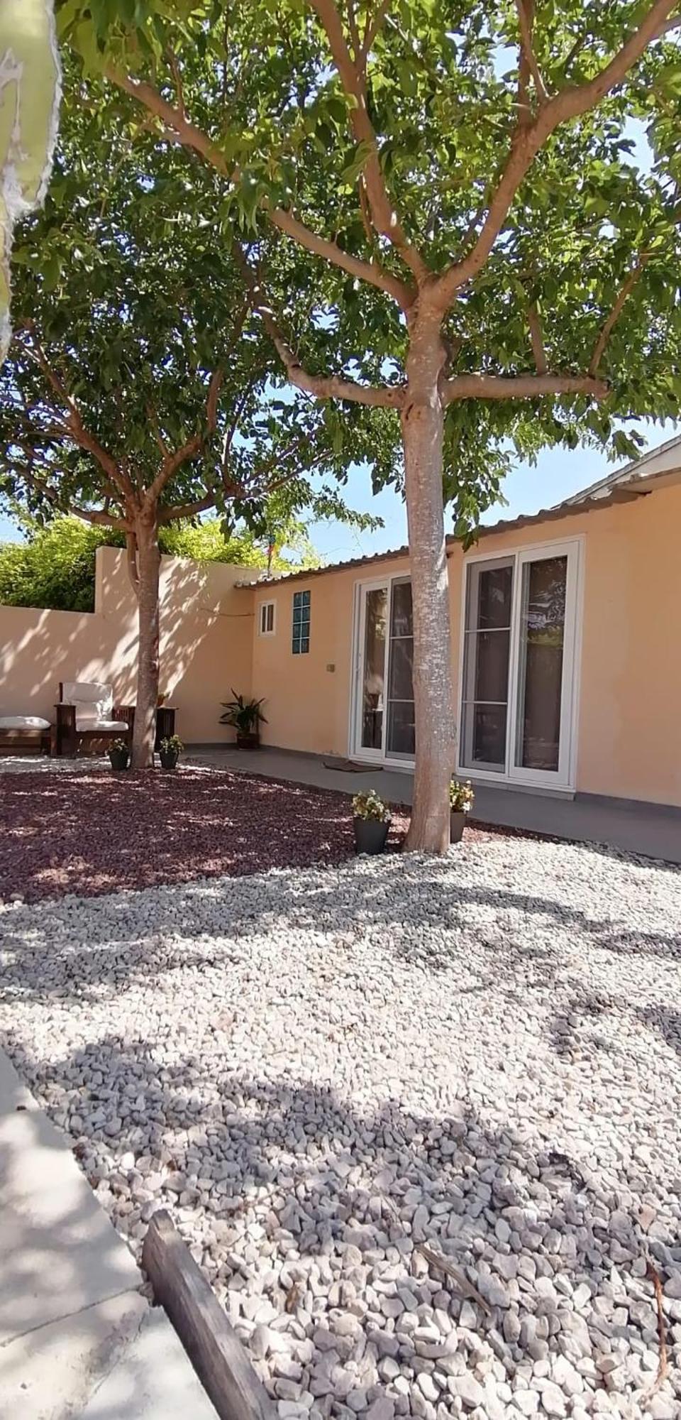 Apartmán L'Atelier De Paquita - Delta De L'Ebre Deltebre Exteriér fotografie